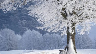 Photo de Conseils seniors : comment garder la forme en hiver ?