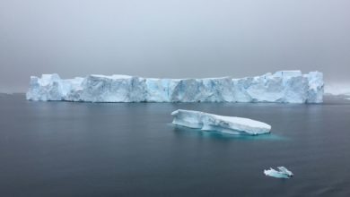 Photo de A23a, le plus grand iceberg du monde, continue sa dérive en Antarctique