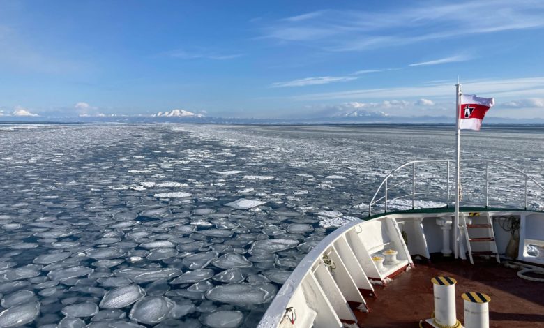 rencontre sur la glace arctique