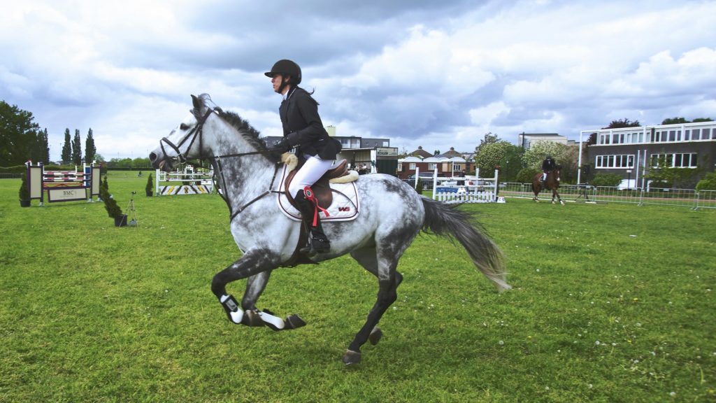 equipement du cavalier et cheval concours etc